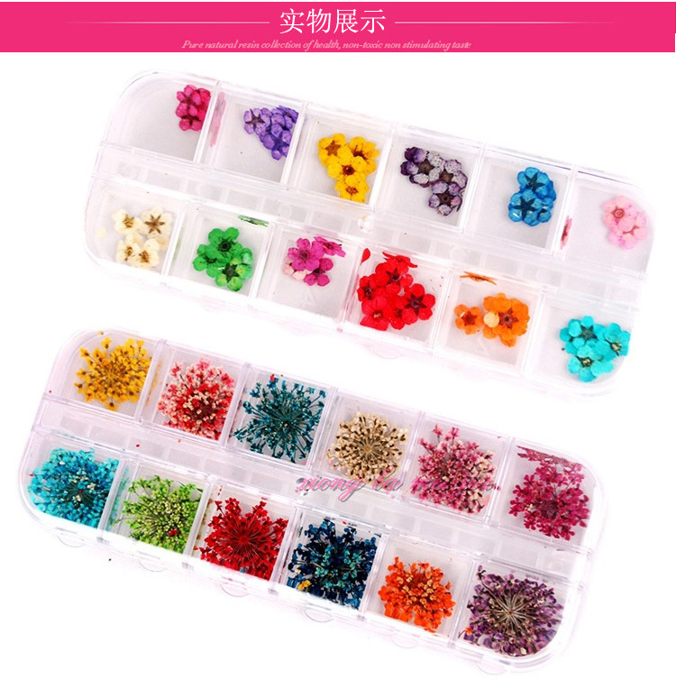 3D Dried Flower Nail Decoration DIY Nail Art 