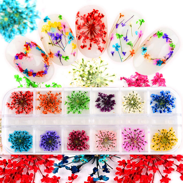 Mix Dried Flowers Nail Decorations Jewelry Natural Floral Leaf 